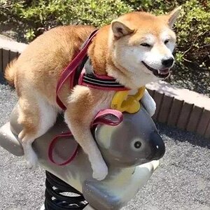 Huehot