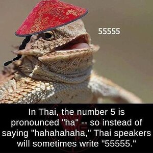 555