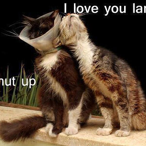 LoveLamp