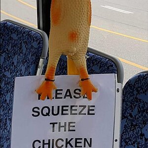 SqueezeChicken