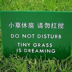 TinyGrasDreaming