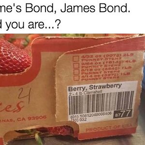 BondBerry