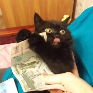 Geschenktisgeschenkt