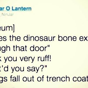 DinosaurBone