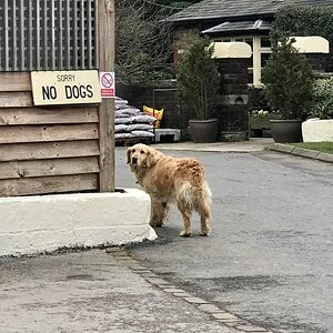 Interessiertmichnicht