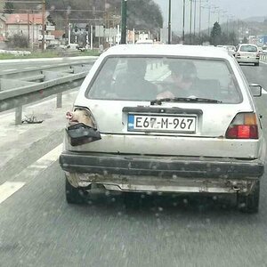 SchweinischerBlinker