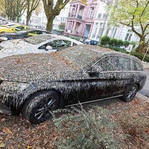 Parkplatzderwoche