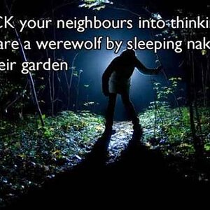 ASleepingWerewolf