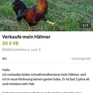 Meistens