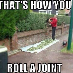 Joint