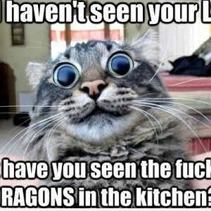 Drogen
