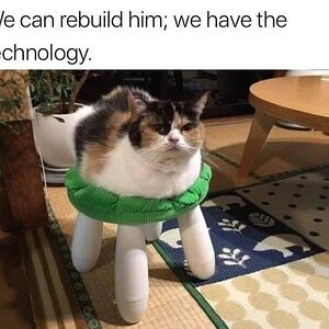 Wecanrebuildhim