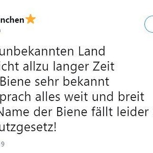 Bieneunbekannt