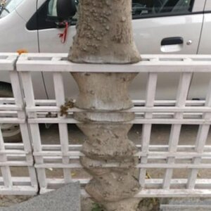Da_musst_du_durch