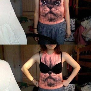Katzenshirt