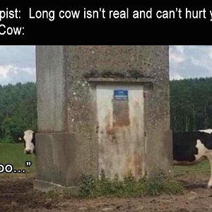 AaLongCow