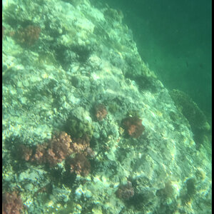 DSC04380-5