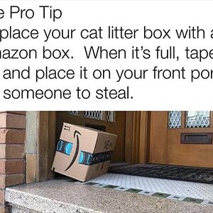 ABoxLitter