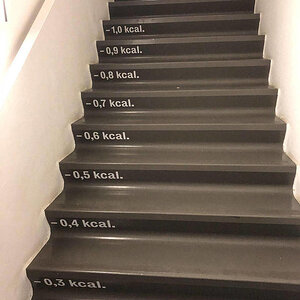 Danngleichrolltreppe