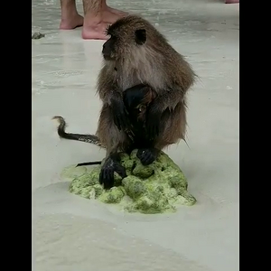 Snapinsta.app_46198723_381823519229354_7663238185259841356_n.mp4