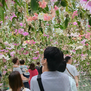 Teamlab Planets Video7.mp4