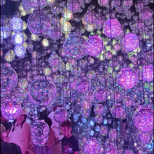Teamlab Borderless Video1.mp4