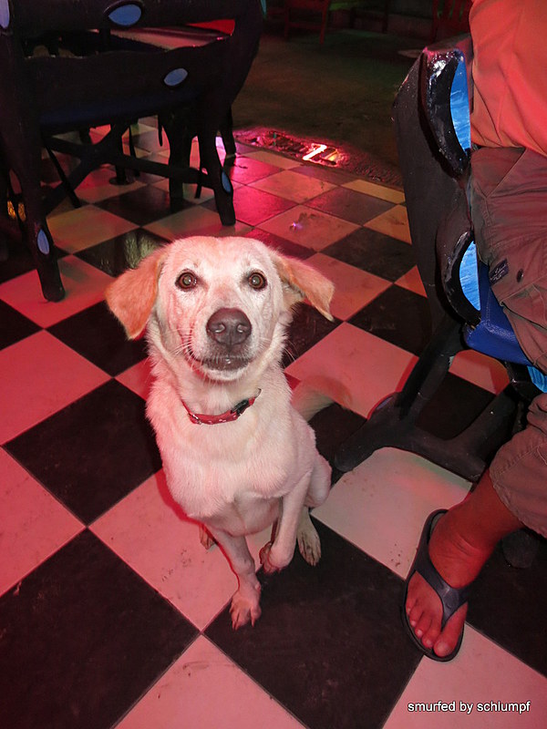 2014-09-15  Smurf Bar