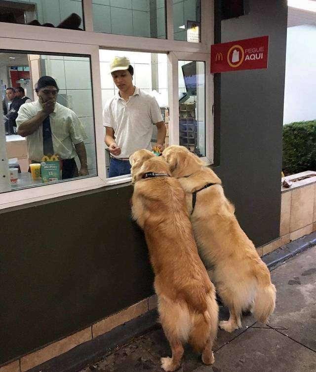2Hotdogs