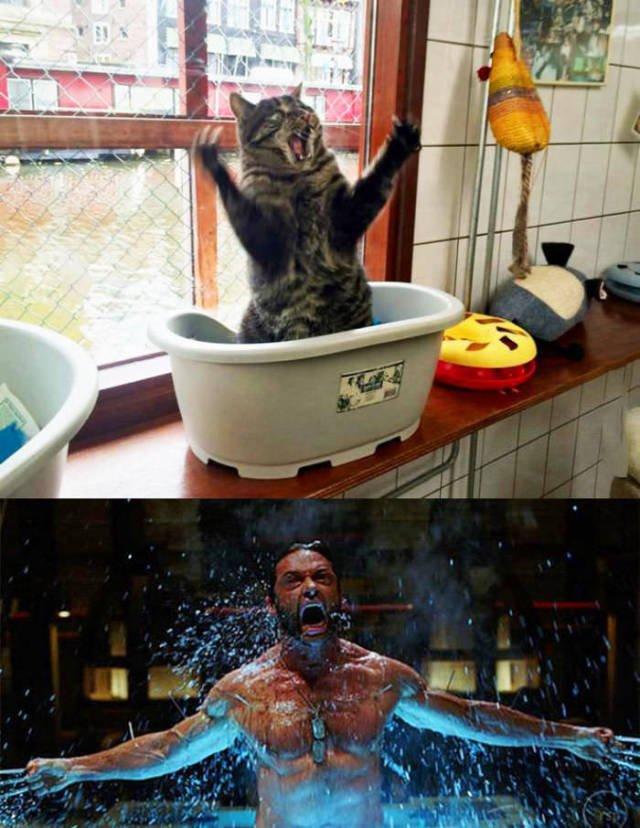 Aaagh