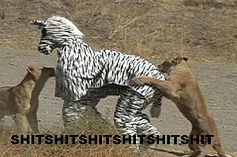 Afrikatierfilmer