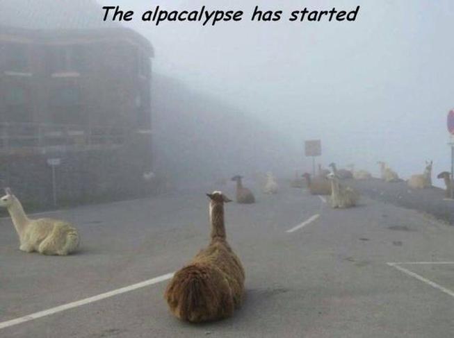 Alpcalypse
