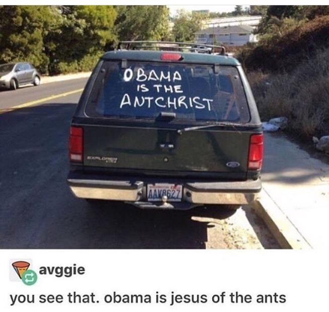 Ameisenchrist