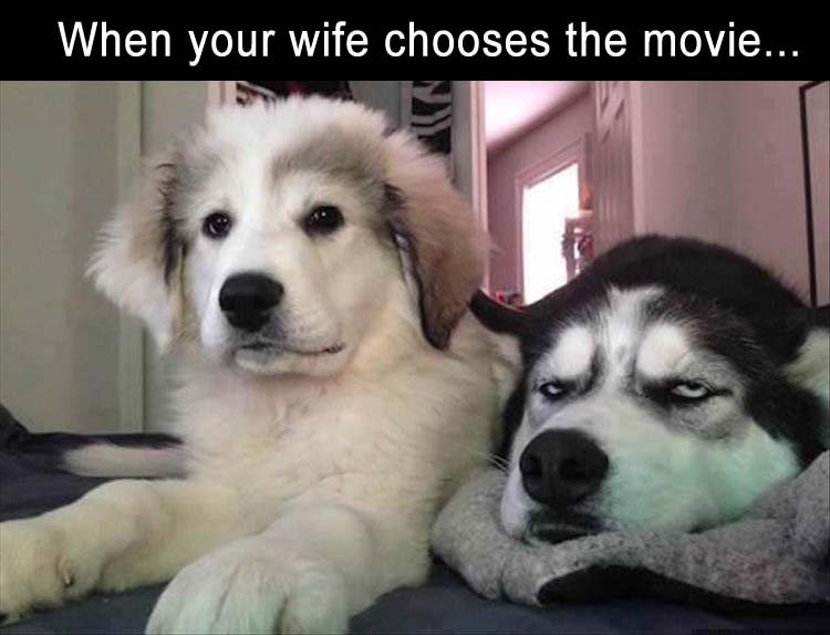AWifeChooseMovie