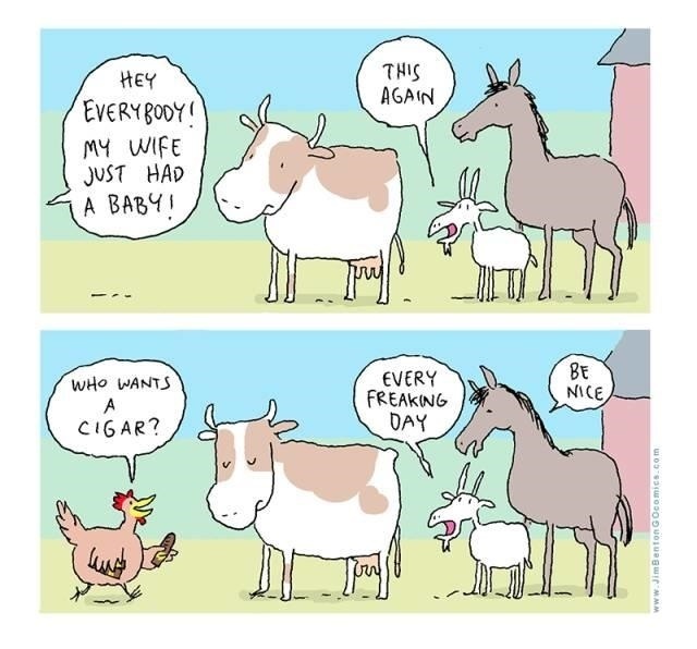 Baby01