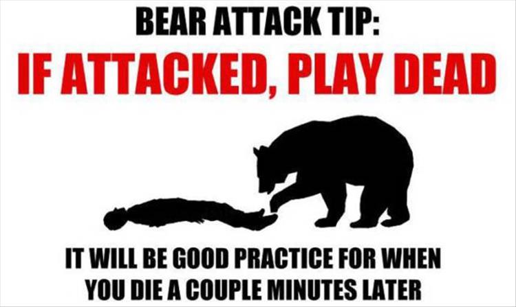 BearAttack