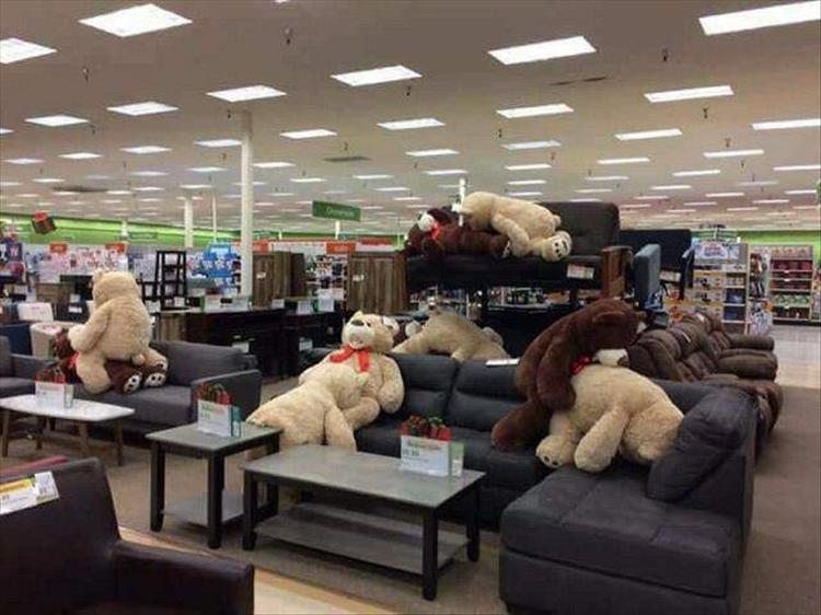BearsCouch