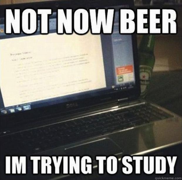 Beer-Study