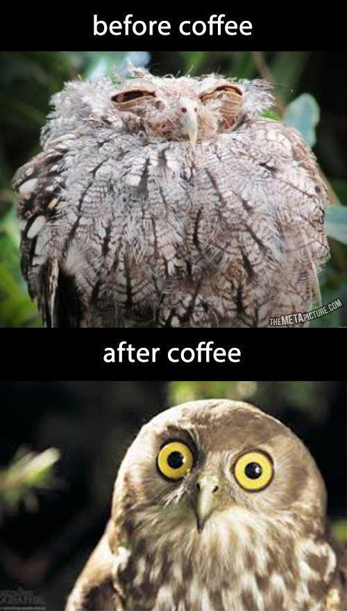 BeforandafterCoffee
