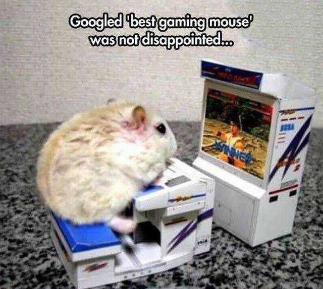 Bestgamingmouse