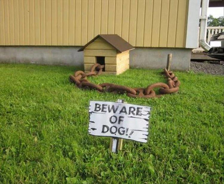 BewareDog
