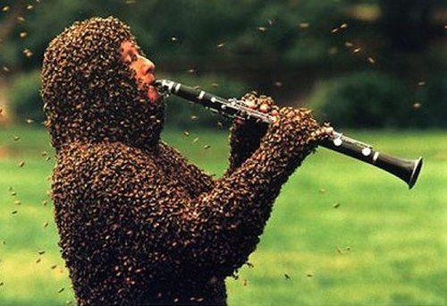 Bienenbeschwoerer