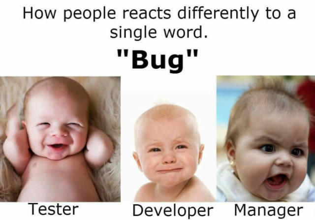 Bug