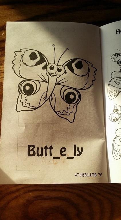 Butterfly