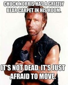 Chuck-Bear