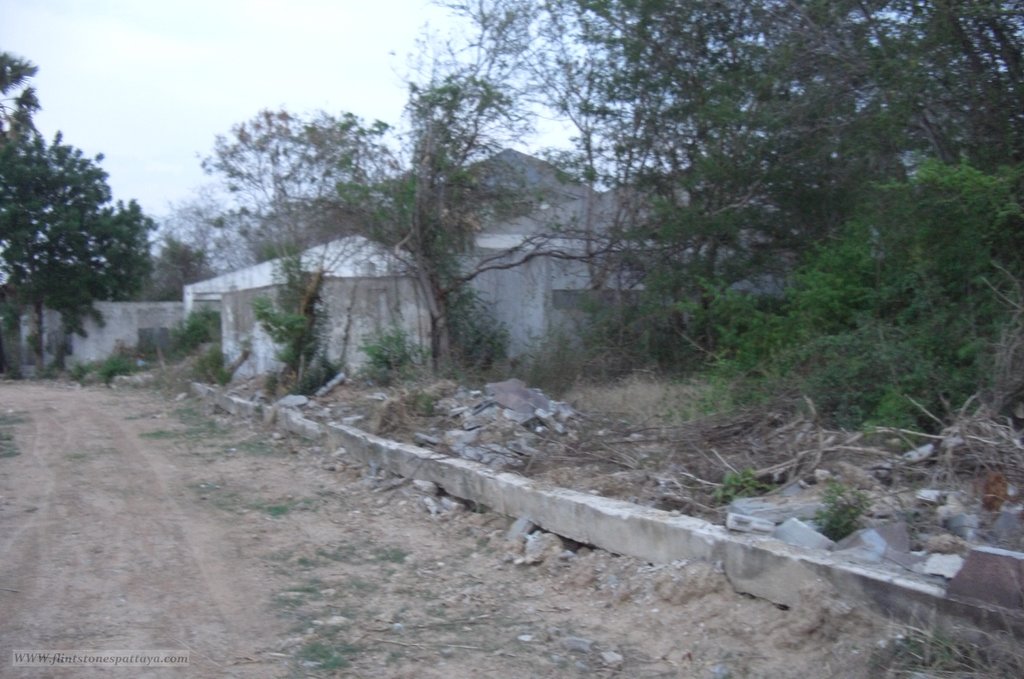 CIMG0347