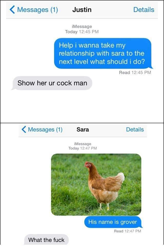 Cock
