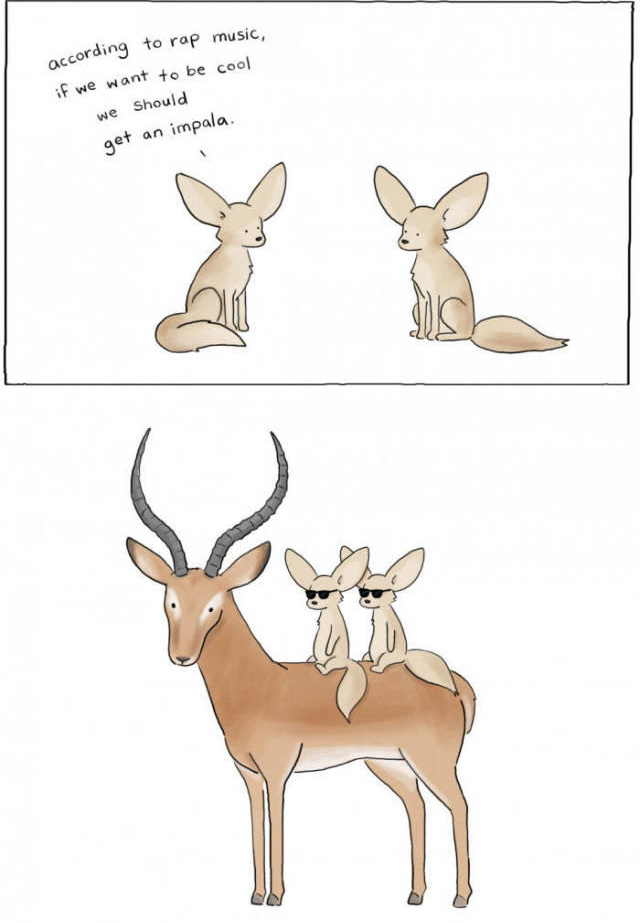 CoolImpala