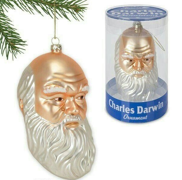 Darwin