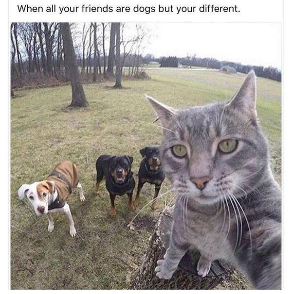 Different