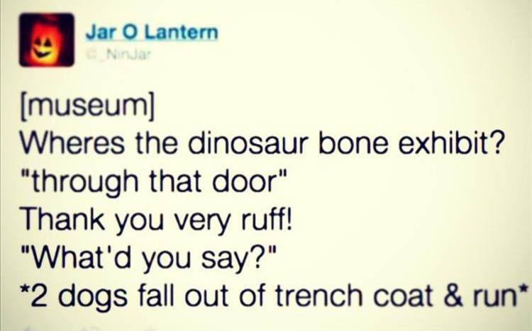 DinosaurBone